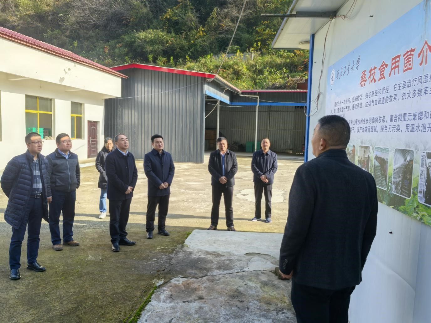 图片5.jpg 图片5.jpg