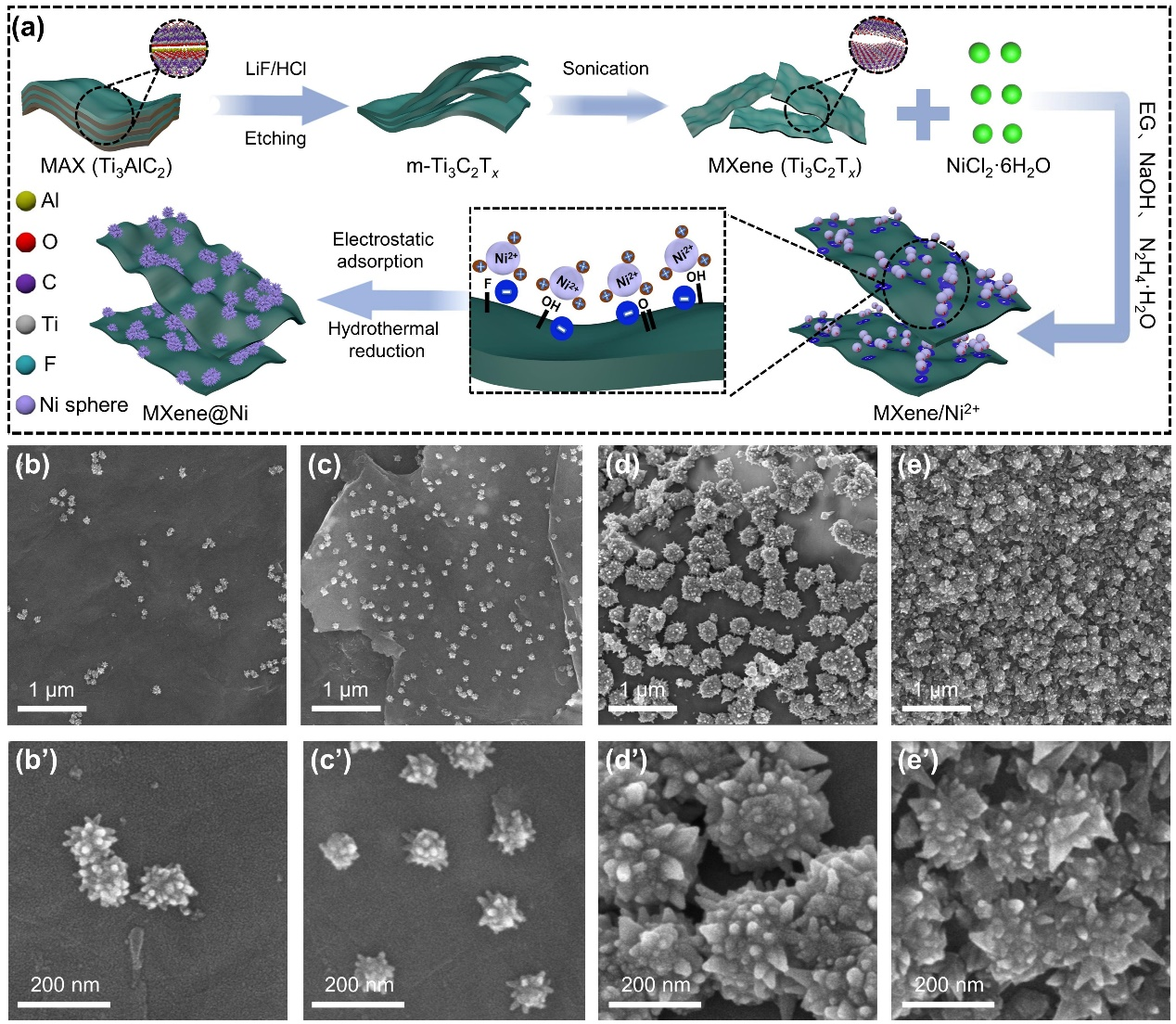图片2.png 图片2.png